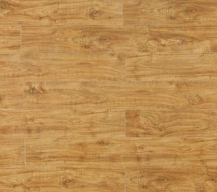 强化地板，美居系列，B8665温索尔橡木
