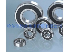 6004深沟球轴承 轴承厂哪家好 哈尔滨轴承制造有限公司图1