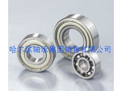 6005深沟球轴承 哈尔滨轴承价格 高温轴承生产厂家图1