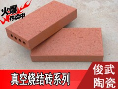 真空烧结砖宜兴俊武广场烧结砖：200*200真空，多孔，透水性强图2