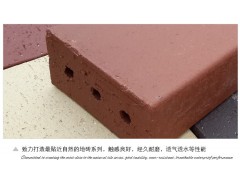 【汉撒雅铂】厂家直销 佛山多孔窑变烧结砖 真空机压烧结粘土砖图2