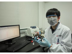 灰砂砖配方还原 蒸压灰砂砖 外墙劈开砖 灰砂砖成分分析图2