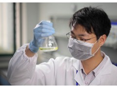 灰砂砖配方还原 蒸压灰砂砖 外墙劈开砖 灰砂砖成分分析图3