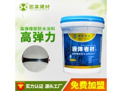 湖南厂家防水性非固化高弹橡胶防水涂料 屋顶防水补漏液体卷材涂图1