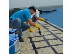 湖南厂家防水性非固化高弹橡胶防水涂料 屋顶防水补漏液体卷材涂图3