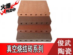 【精品】俊武新品真空烧结砖,专用地砖 ,耐磨透水。多色可选图1
