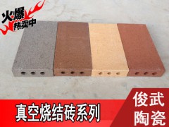 【精品】俊武新品真空烧结砖,专用地砖 ,耐磨透水。多色可选图2
