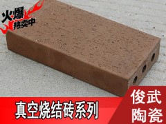 【精品】俊武新品真空烧结砖,专用地砖 ,耐磨透水。多色可选图3