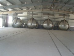 东光瑞德专业生产蒸压加气混凝土砌块全套设备 欢迎参观考察图3