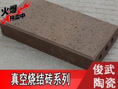 烧结砖厂家直销 宜兴俊武陶瓷 高品质直销厂家图2