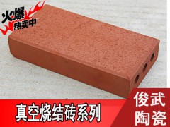 烧结砖厂家直销 宜兴俊武陶瓷 高品质直销厂家图3