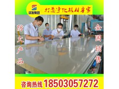 吊顶隔断岩棉板 岩棉玻镁彩钢板 净化板 防火板 隔音板 吊顶板图2