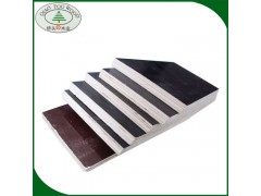 特价批发 多层防水防潮模板 黑色防水模板 质优价廉图2