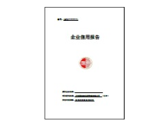 单次 企业信用报告