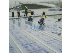 平铺式阳光板采光带 汇丽供 平铺式阳光板采光带哪家好图1