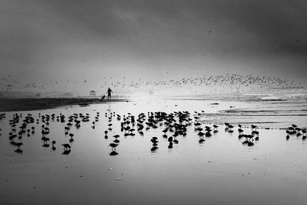 带上东方的禅意 拍摄宁静别致的黑白风景