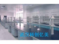 武汉洁净实验室施工|武汉洁净实验室施工报价|科创亿美供图1