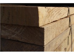 福建杨木出厂价 福建杨木加工 福建杨木价格低 森鑫供图1