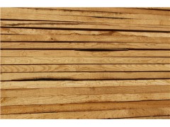 浙江杨木出厂价 浙江杨木加工 浙江杨木价格低 森鑫供图1