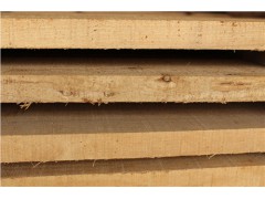 湖南杨木价格 湖北杨木出厂价 湖北杨木加工 森鑫供图1