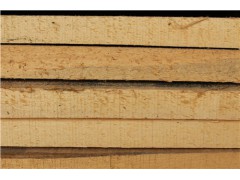 河南杨木加工 河南杨木价格低 河南杨木哪家好 森鑫供图1