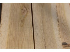 河北本地杨价格 河北本地杨生产商 河北本地杨供应商 森鑫供图1