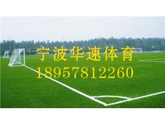 校园足球场改造*校园足球场重建*校园足球场建造*宁波华速图1