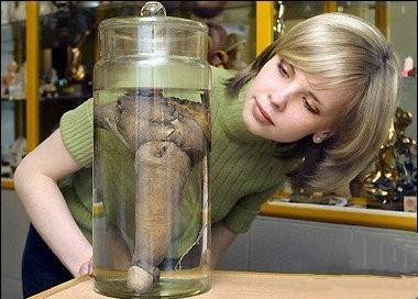 少儿不宜：令女人脸红的20大桃色吉尼斯