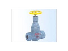 J11B-25C内螺纹氨用截止阀图1