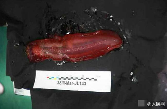 图为“蛟龙”在马里亚纳海沟北侧首次下潜遇到的“深海居民”。