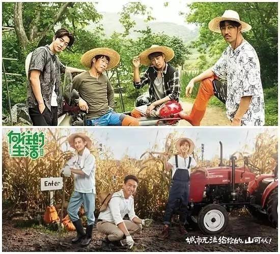 芒果、番茄、荔枝台,韩媒说,他们的政府要治你们“抄袭”了!