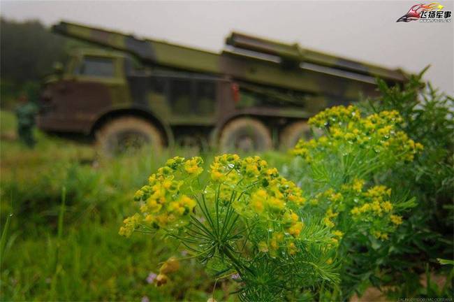 塞尔维亚陆军炮兵实弹射击演习 火箭炮造型大亮！