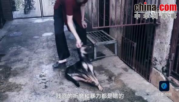 玉林救狗的&ldquo;美国英雄&rdquo;竟是骗子：钱拿了 狗扔了