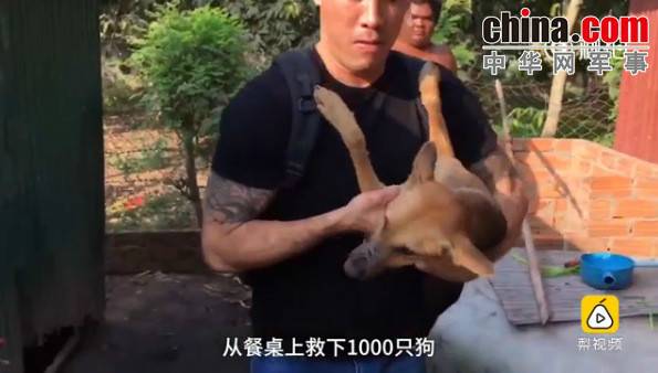 玉林救狗的&ldquo;美国英雄&rdquo;竟是骗子：钱拿了 狗扔了