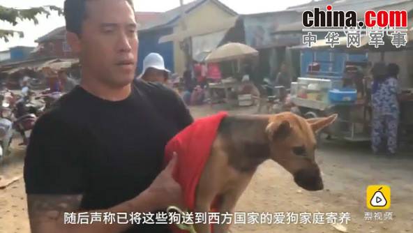 玉林救狗的&ldquo;美国英雄&rdquo;竟是骗子：钱拿了 狗扔了