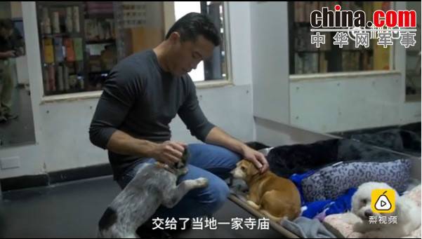 玉林救狗的&ldquo;美国英雄&rdquo;竟是骗子：钱拿了 狗扔了