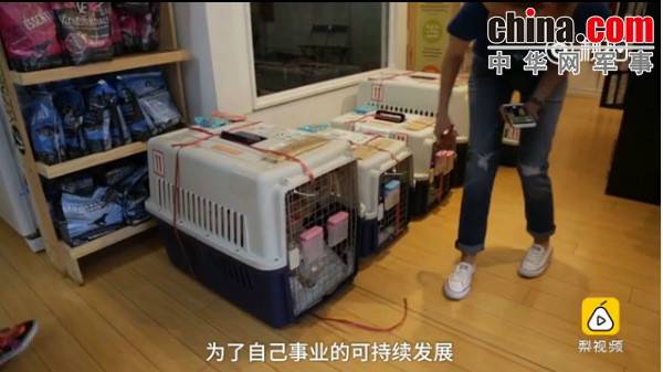 玉林救狗的&ldquo;美国英雄&rdquo;竟是骗子：钱拿了 狗扔了