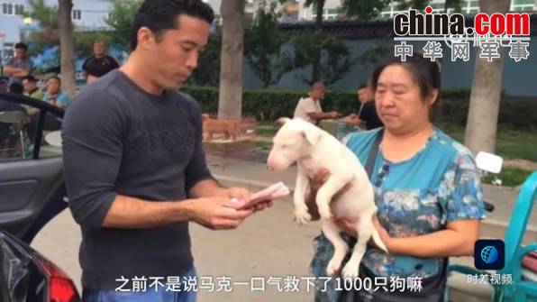 玉林救狗的&ldquo;美国英雄&rdquo;竟是骗子：钱拿了 狗扔了