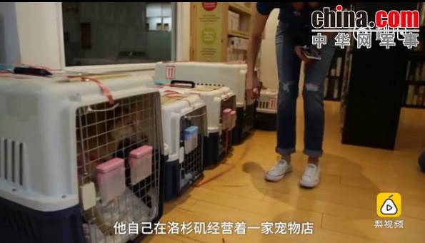 玉林救狗的&ldquo;美国英雄&rdquo;竟是骗子：钱拿了 狗扔了