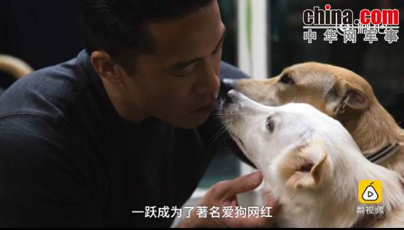 玉林救狗的&ldquo;美国英雄&rdquo;竟是骗子：钱拿了 狗扔了