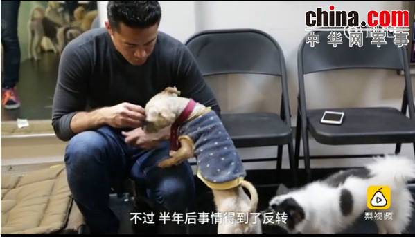 玉林救狗的&ldquo;美国英雄&rdquo;竟是骗子：钱拿了 狗扔了