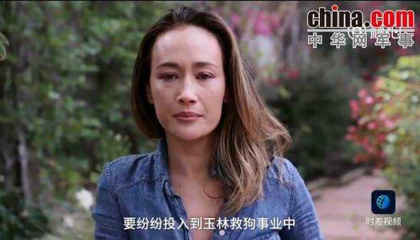 玉林救狗的&ldquo;美国英雄&rdquo;竟是骗子：钱拿了 狗扔了