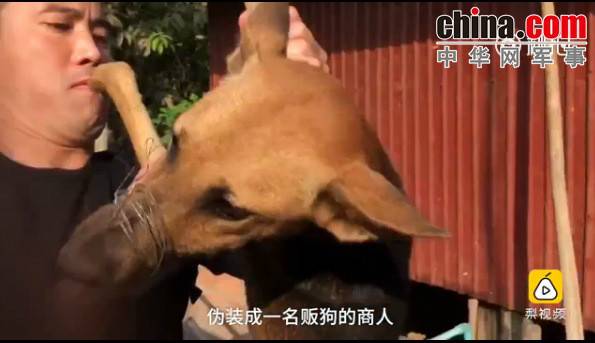 玉林救狗的&ldquo;美国英雄&rdquo;竟是骗子：钱拿了 狗扔了