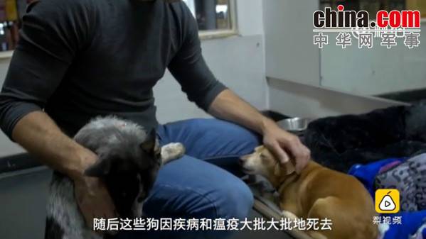 玉林救狗的&ldquo;美国英雄&rdquo;竟是骗子：钱拿了 狗扔了