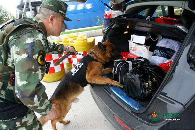 &ldquo;战友&rdquo;，我愿陪你余生一起看夕阳无限好。摄于2017年4月