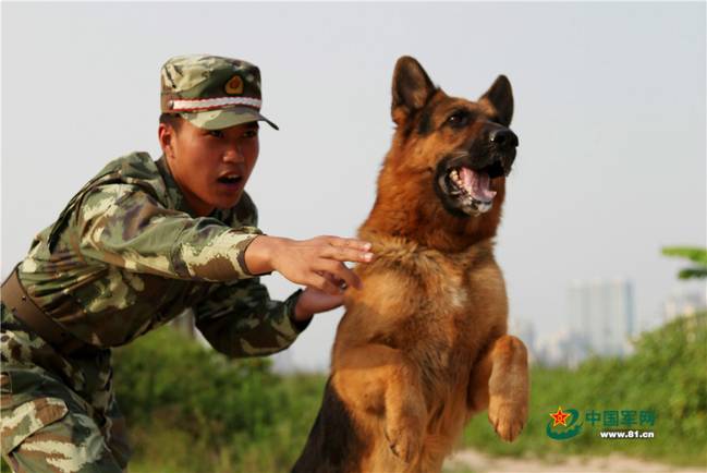 曾经年青的我。摄于2011年5月