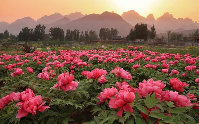 “中国旅游日”保定举行系列采风活动