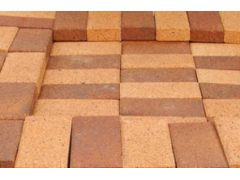 蒸压粉煤灰砖 广场砖 景观砖 路面砖 植草砖图1