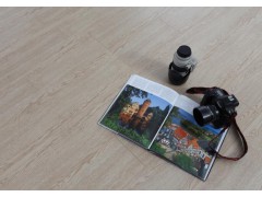 强化地板,精英系列,B6601经典白橡图1