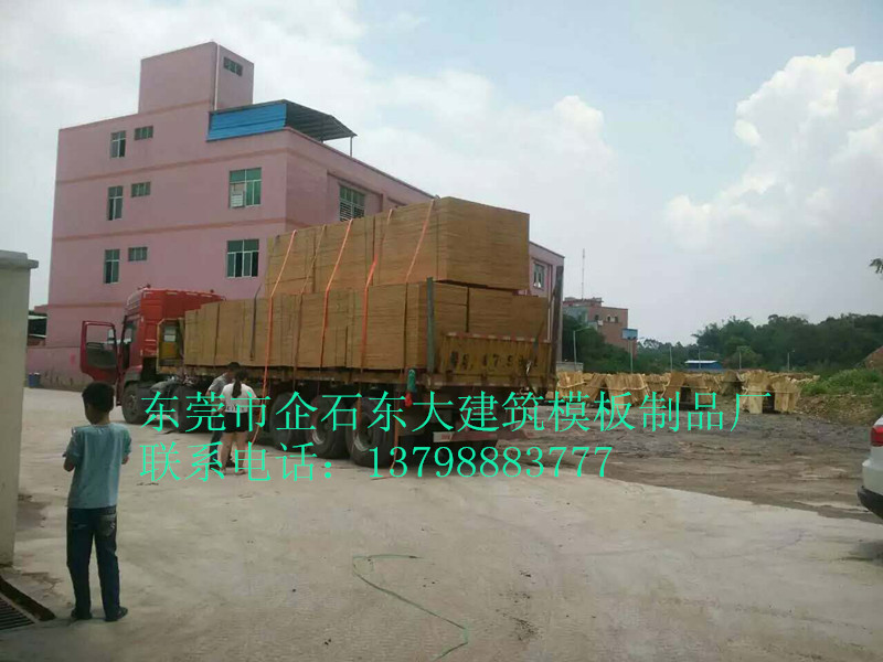 建筑模板 各种规格清水覆膜板 建筑用胶合板厂家批发